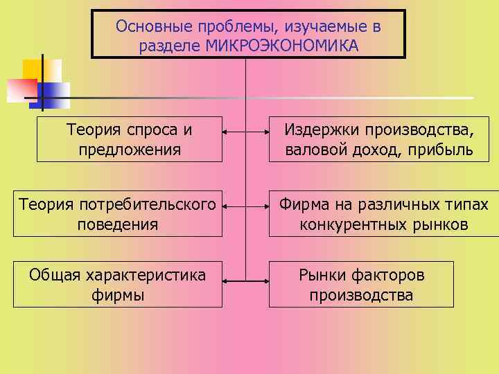 Основные проблемы, изучаемые в разделе МИКРОЭКОНОМИКА Теория спроса и предложения Теория потребительского поведения Общая