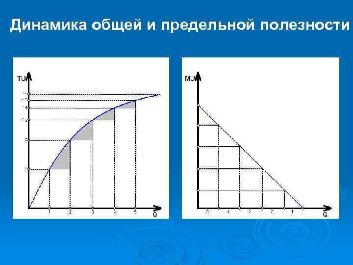 Динамика общей и предельной полезности 