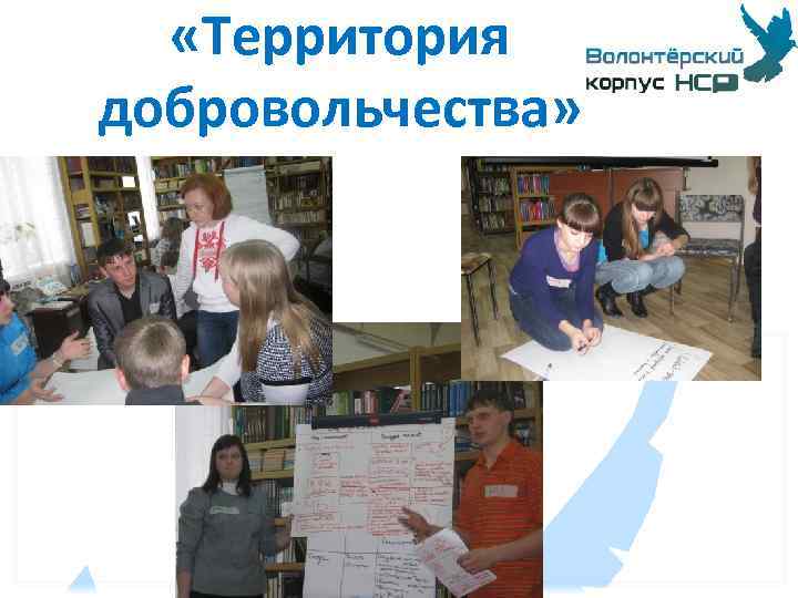  «Территория добровольчества» 