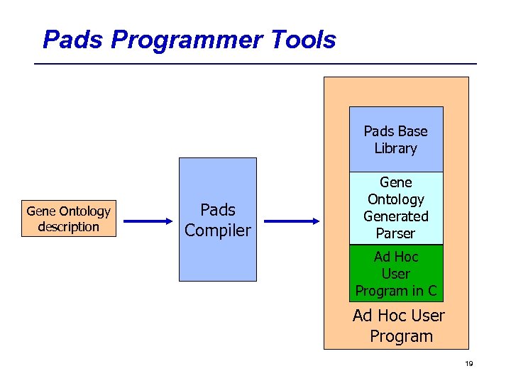 Pads Programmer Tools Pads Base Library Gene Ontology description Pads Compiler Gene Ontology Generated