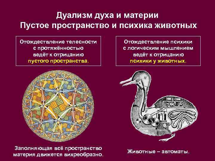Дуализм духа и материи Пустое пространство и психика животных Отождествление телесности с протяжённостью ведёт