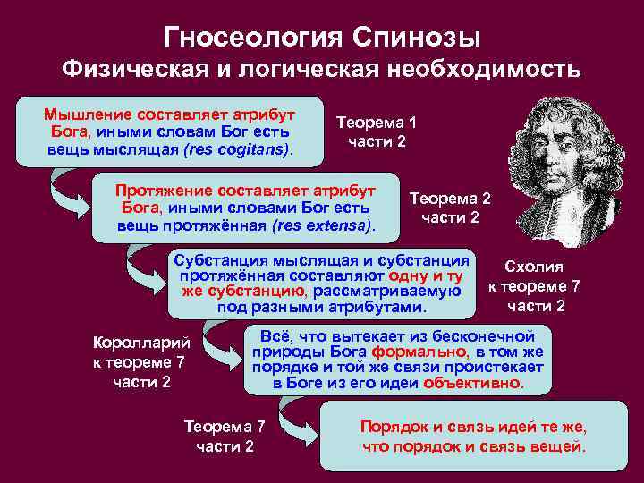 Гносеология Спинозы Физическая и логическая необходимость Мышление составляет атрибут Бога, иными словам Бог есть