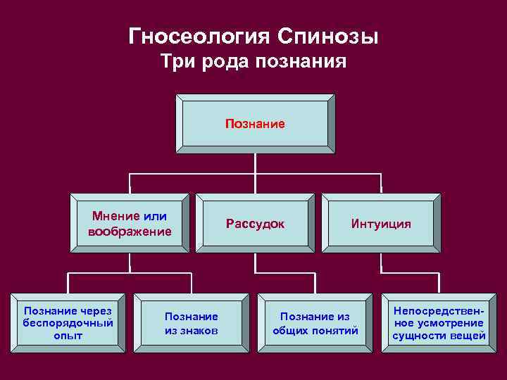 Гносеология Спинозы Три рода познания Познание Мнение или воображение Познание через беспорядочный опыт Познание