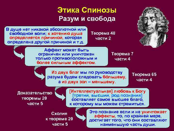 Этика Спинозы Разум и свобода В душе нет никакой абсолютной или свободной воли; к