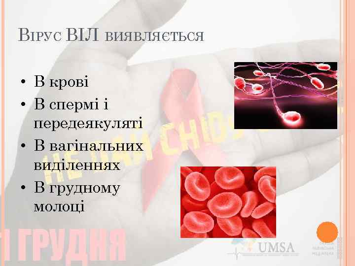 ВІРУС ВІЛ ВИЯВЛЯЄТЬСЯ • В крові • В спермі і передеякуляті • В вагінальних