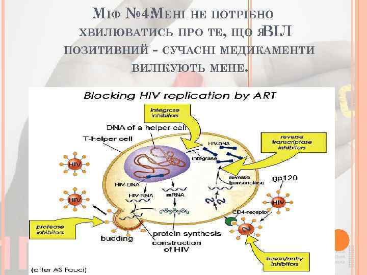 МІФ № 4: ЕНІ НЕ ПОТРІБНО М ХВИЛЮВАТИСЬ ПРО ТЕ, ЩО Я ВІЛ ПОЗИТИВНИЙ