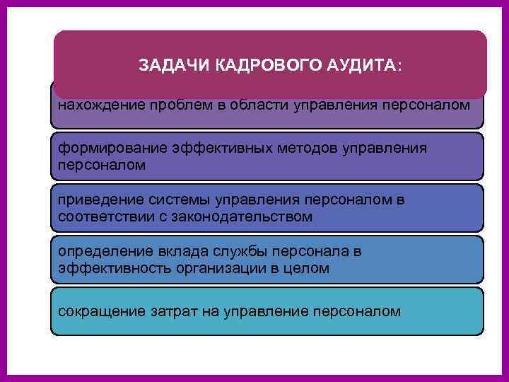 План проведения внутреннего кадрового аудита