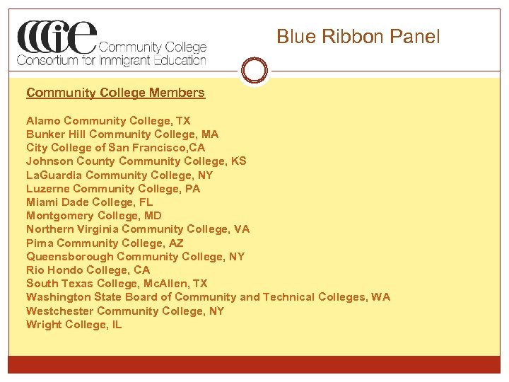 Blue Ribbon Panel Community College Members Alamo Community College, TX Bunker Hill Community College,