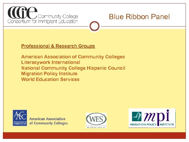 Blue Ribbon Panel Professional & Research Groups American Association of Community Colleges Literacywork International