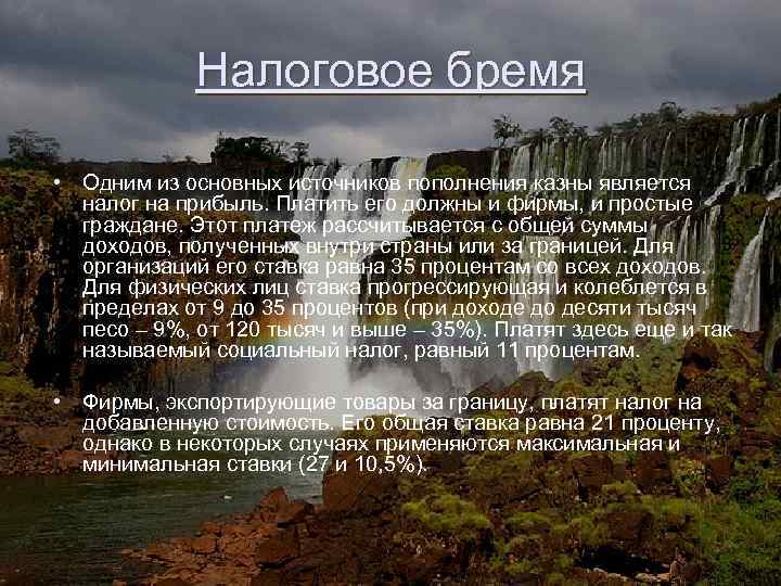 Налоговое бремя • Одним из основных источников пополнения казны является налог на прибыль. Платить