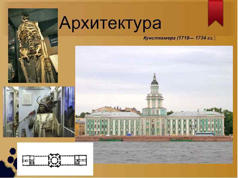 Архитектура Кунсткамера (1718— 1734 гг. ) 