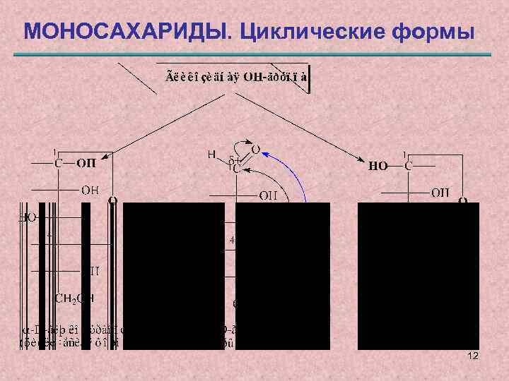 МОНОСАХАРИДЫ. Циклические формы 12 