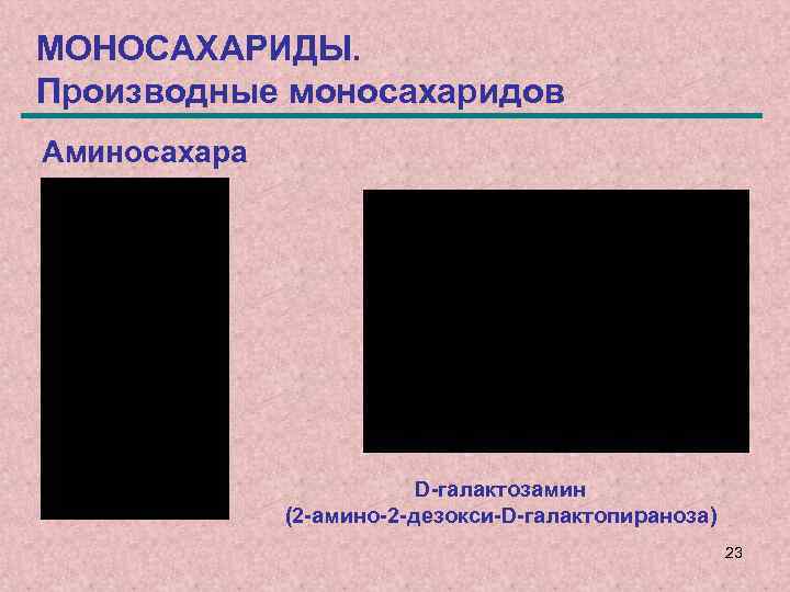 МОНОСАХАРИДЫ. Производные моносахаридов Аминосахара D-галактозамин (2 -амино-2 -дезокси-D-галактопираноза) 23 