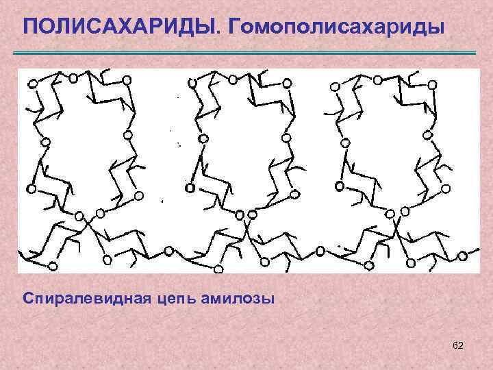 ПОЛИСАХАРИДЫ. Гомополисахариды Спиралевидная цепь амилозы 62 