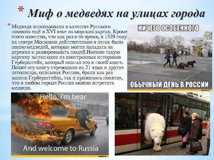 * Миф о медведях на улицах города * Медведя использовали в качестве Русского символа