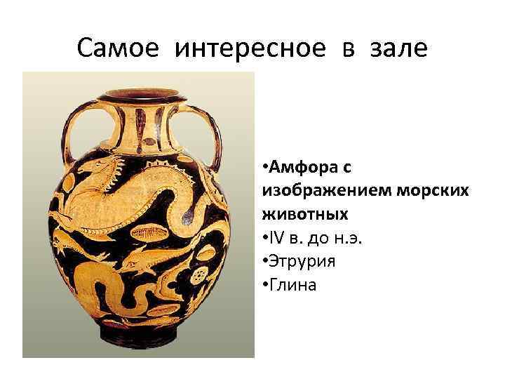 Самое интересное в зале • Амфора с изображением морских животных • IV в. до