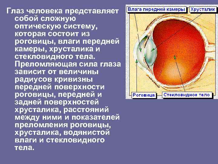 Клиническая рефракция аккомодация. Рефракция хрусталика глаза. Преломляющая сила роговицы и хрусталика. Преломляющая сила глаза. Роговицы влаги передней камеры.