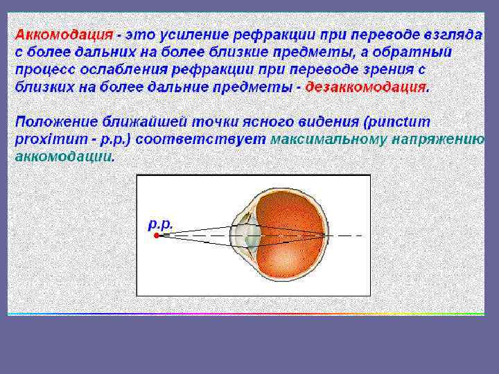 Если глаз человека строит изображение далеких предметов за сетчаткой то
