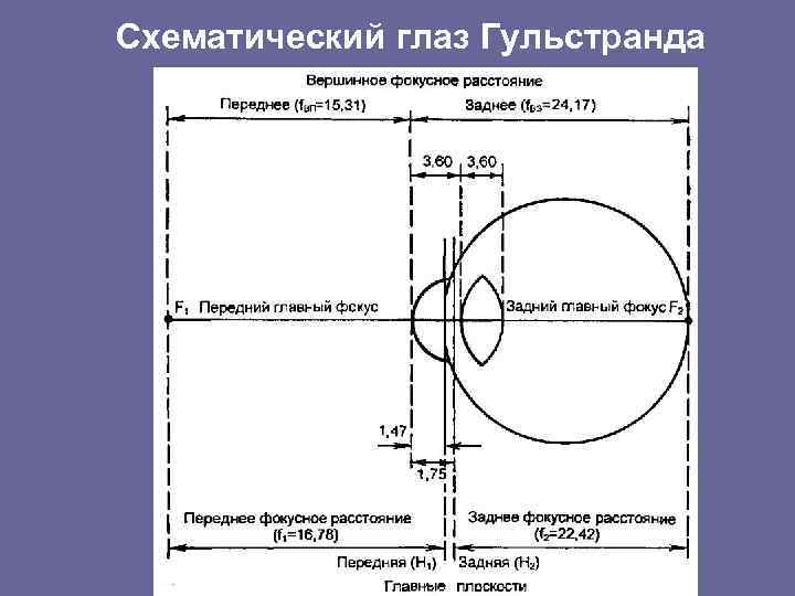 Схематический глаз Гульстранда 
