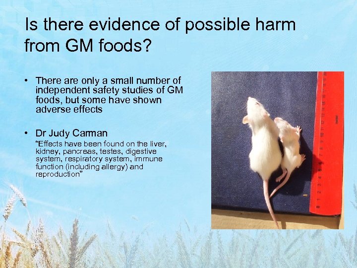 Is there evidence of possible harm from GM foods? • There are only a