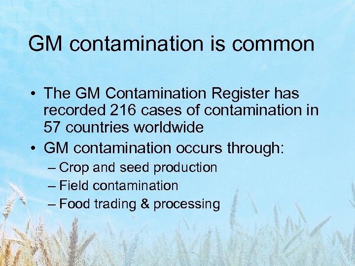 GM contamination is common • The GM Contamination Register has recorded 216 cases of