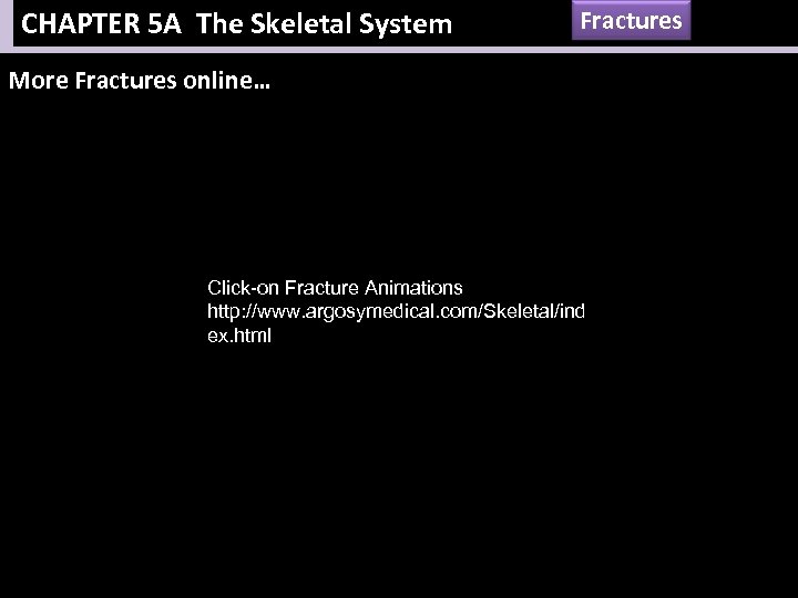 CHAPTER 5 A The Skeletal System Fractures More Fractures online… Click-on Fracture Animations http: