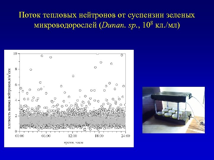 Поток тепловых нейтронов от суспензии зеленых микроводорослей (Dunan. sp. , 108 кл. /мл) 