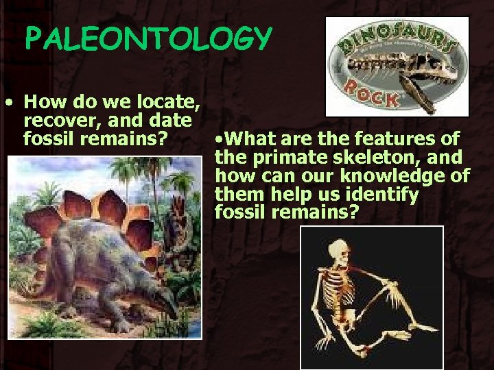 PALEONTOLOGY • How do we locate, recover, and date fossil remains? • What are