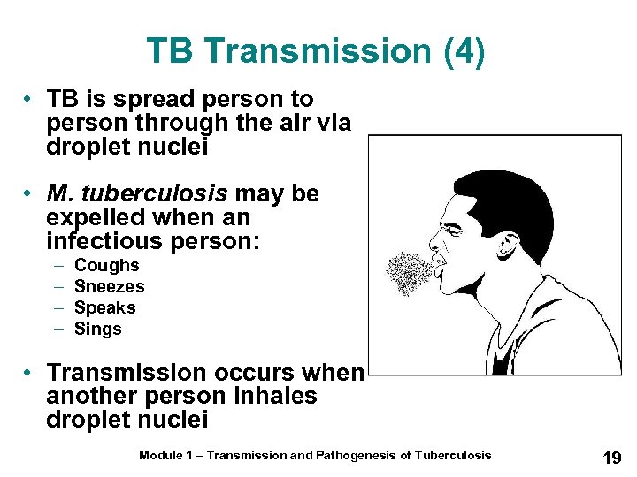 TB Transmission (4) • TB is spread person to person through the air via