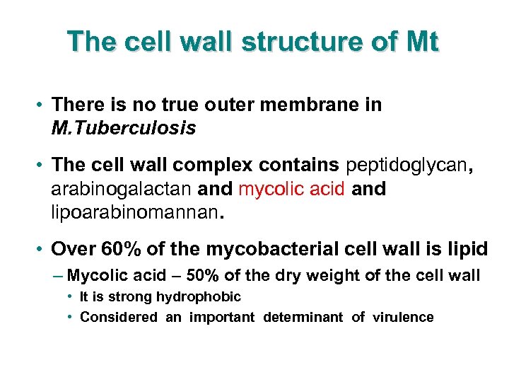 The cell wall structure of Mt • There is no true outer membrane in