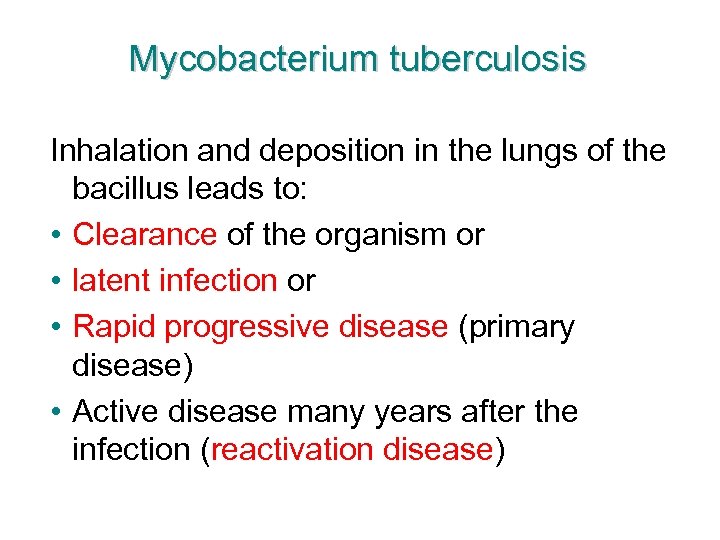 Mycobacterium tuberculosis Inhalation and deposition in the lungs of the bacillus leads to: •