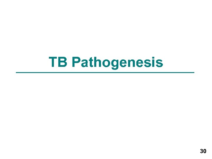 TB Pathogenesis 30 