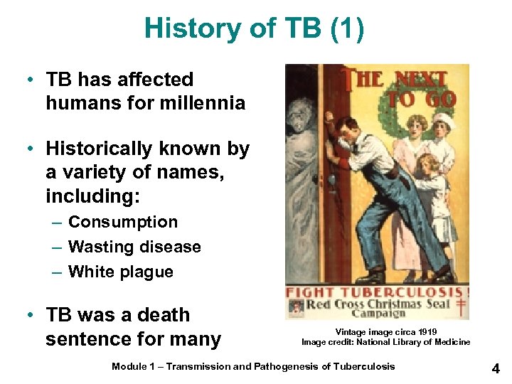 History of TB (1) • TB has affected humans for millennia • Historically known