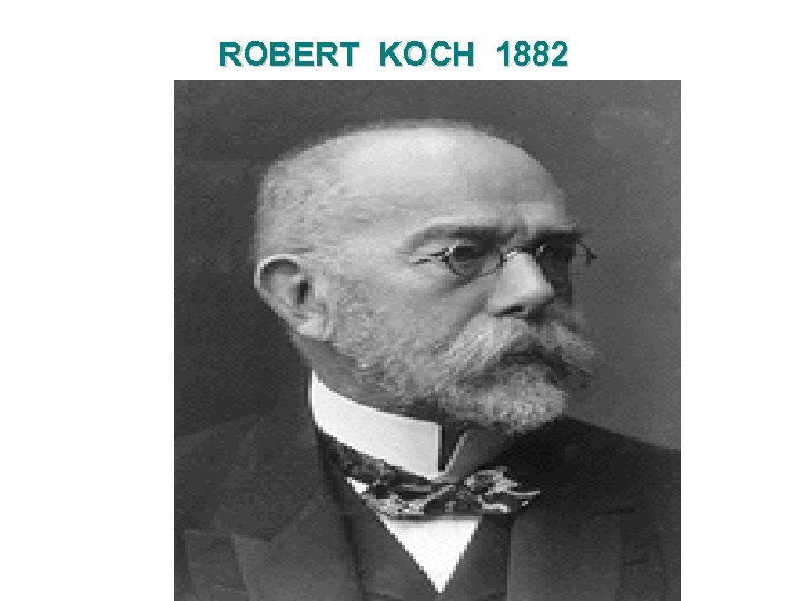 ROBERT KOCH 1882 