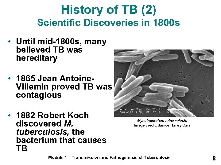 History of TB (2) Scientific Discoveries in 1800 s • Until mid-1800 s, many
