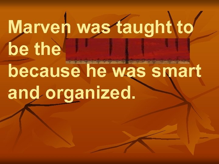 Marven was taught to be the bookkeeper because he was smart and organized. 