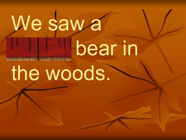 We saw a grizzly bear in the woods. 