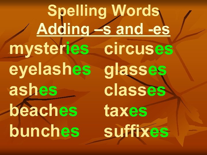 Spelling Words Adding –s and -es mysteries eyelashes beaches bunches circuses glasses classes taxes