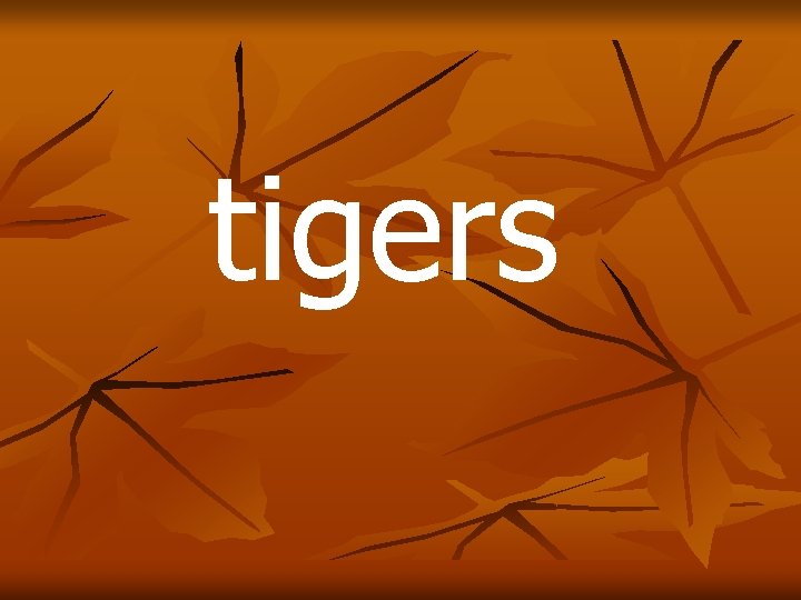 tigers 