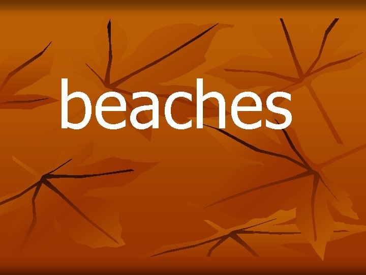 beaches 