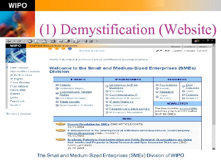 (1) Demystification (Website) The Small and Medium-Sized Enterprises (SMEs) Division of WIPO 