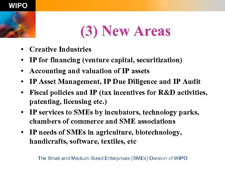 (3) New Areas • • • Creative Industries IP for financing (venture capital, securitization)