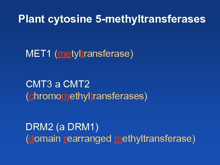 Plant cytosine 5 -methyltransferases MET 1 (metyltransferase) CMT 3 a CMT 2 (chromomethyltransferases) DRM