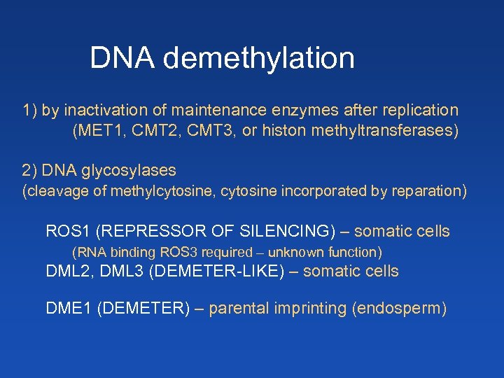 DNA demethylation 1) by inactivation of maintenance enzymes after replication (MET 1, CMT 2,