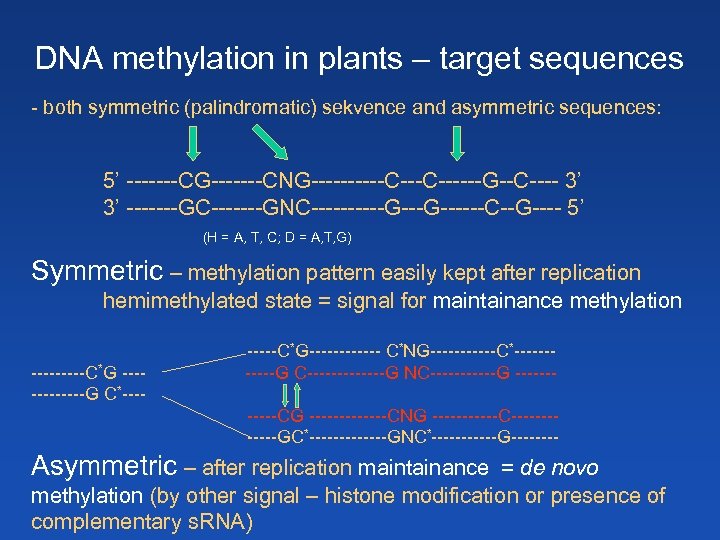 DNA methylation in plants – target sequences - both symmetric (palindromatic) sekvence and asymmetric