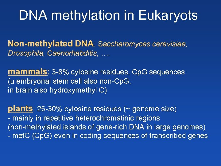 DNA methylation in Eukaryots Non-methylated DNA: Saccharomyces cerevisiae, Drosophila, Caenorhabditis, …. mammals: 3 -8%