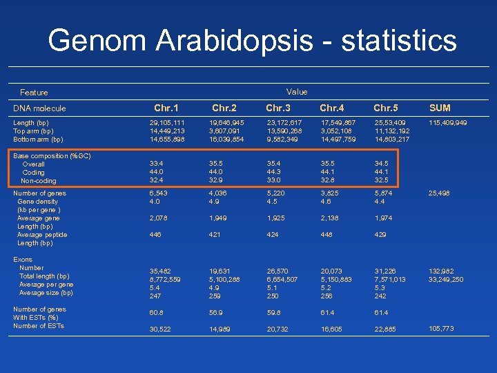 Genom Arabidopsis - statistics Value Feature DNA molecule Chr. 1 Length (bp) Top arm
