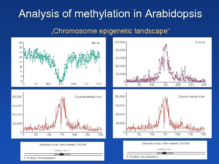 Analysis of methylation in Arabidopsis „Chromosome epigenetic landscape“ 