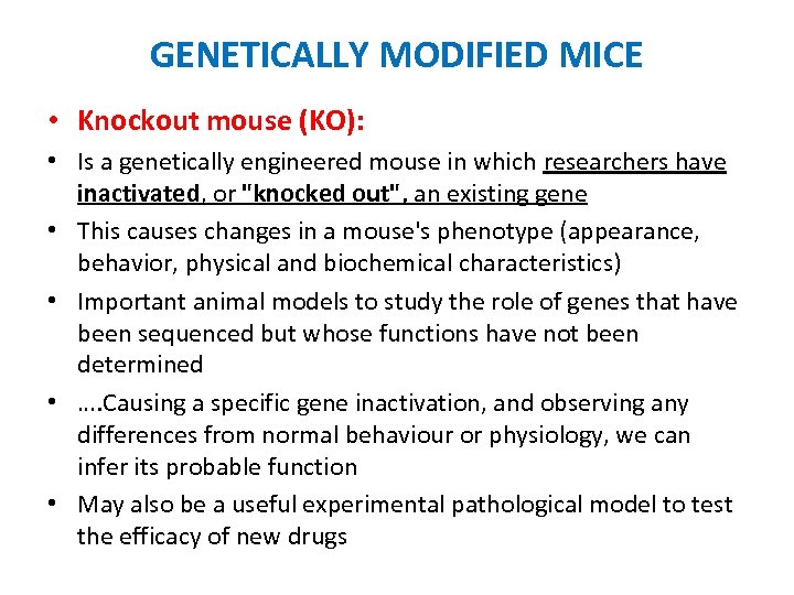 GENETICALLY MODIFIED MICE • Knockout mouse (KO): • Is a genetically engineered mouse in