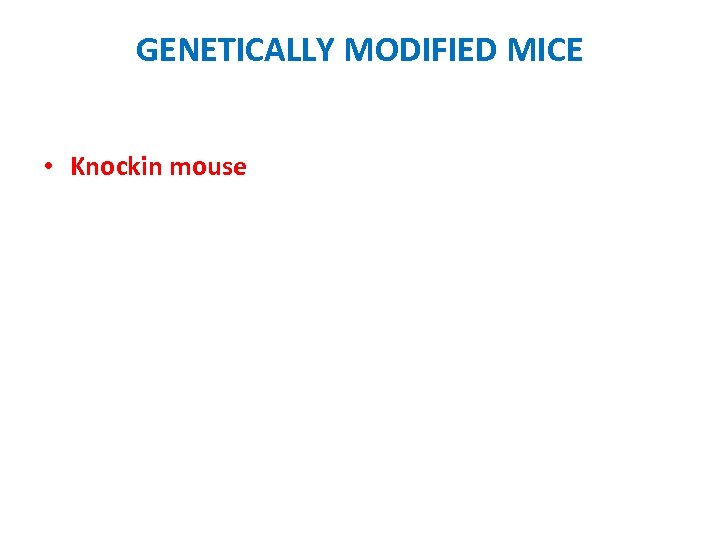 GENETICALLY MODIFIED MICE • Knockin mouse 